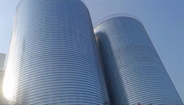 漾濞2座混凝土高架卷板仓